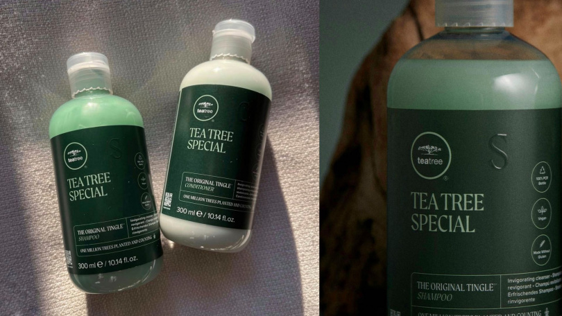 Paul Mitchell Tea Tree 茶樹洗髮精和潤髮乳，透過茶樹、薄荷與薰衣草精油打造經典沁涼洗護體驗。（圖／品牌提供）