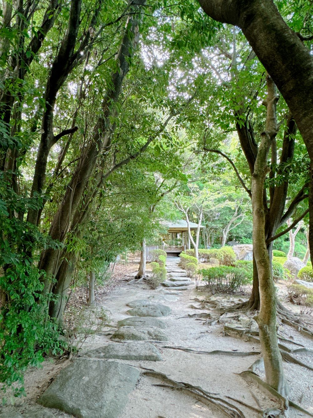 大濠公園日本庭園_上池_大池泉庭