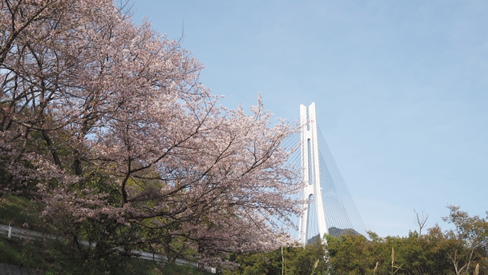 多多羅大橋