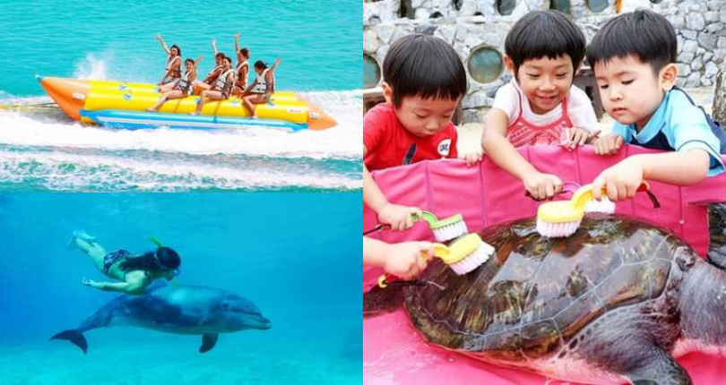   （圖／取自 rakuten.com）  