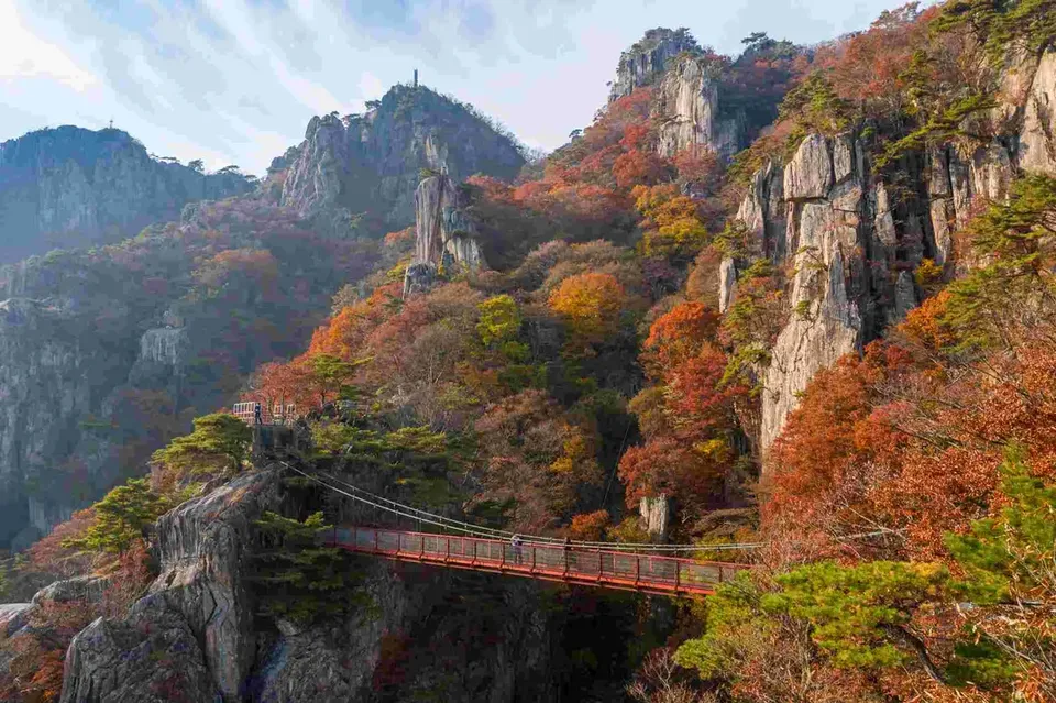 大芚山金剛吊橋