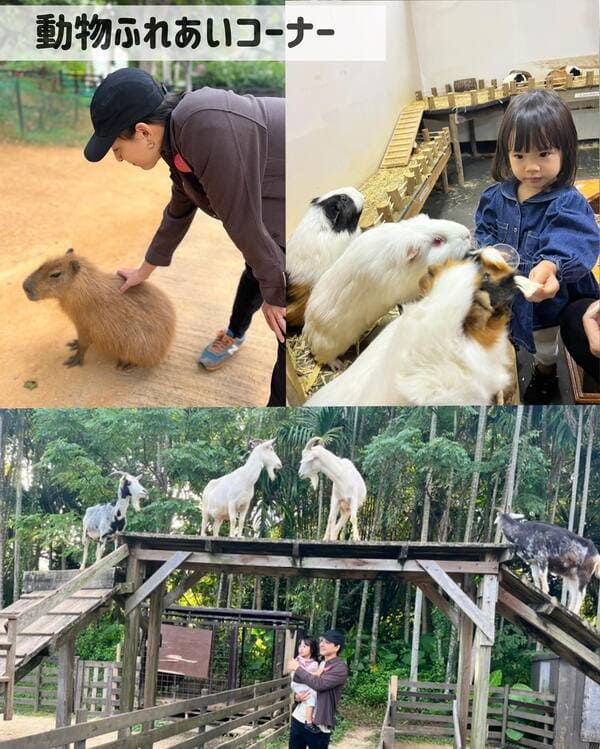 沖繩中部景點推薦【東南植物樂園】熱帶植物與動物的天堂樂園，門票優惠與遊玩攻略懶人包