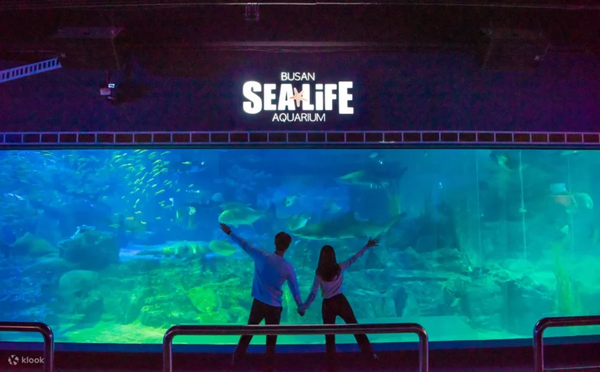 釜山自由行：韓國釜山旅遊五天四夜行程，精選釜山景點/美食/交通/住宿懶人包！