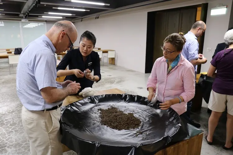 南投觀光工廠 推薦15間南投觀光工廠！週末親子出遊，寓教於樂拍出打卡美照 8 2025