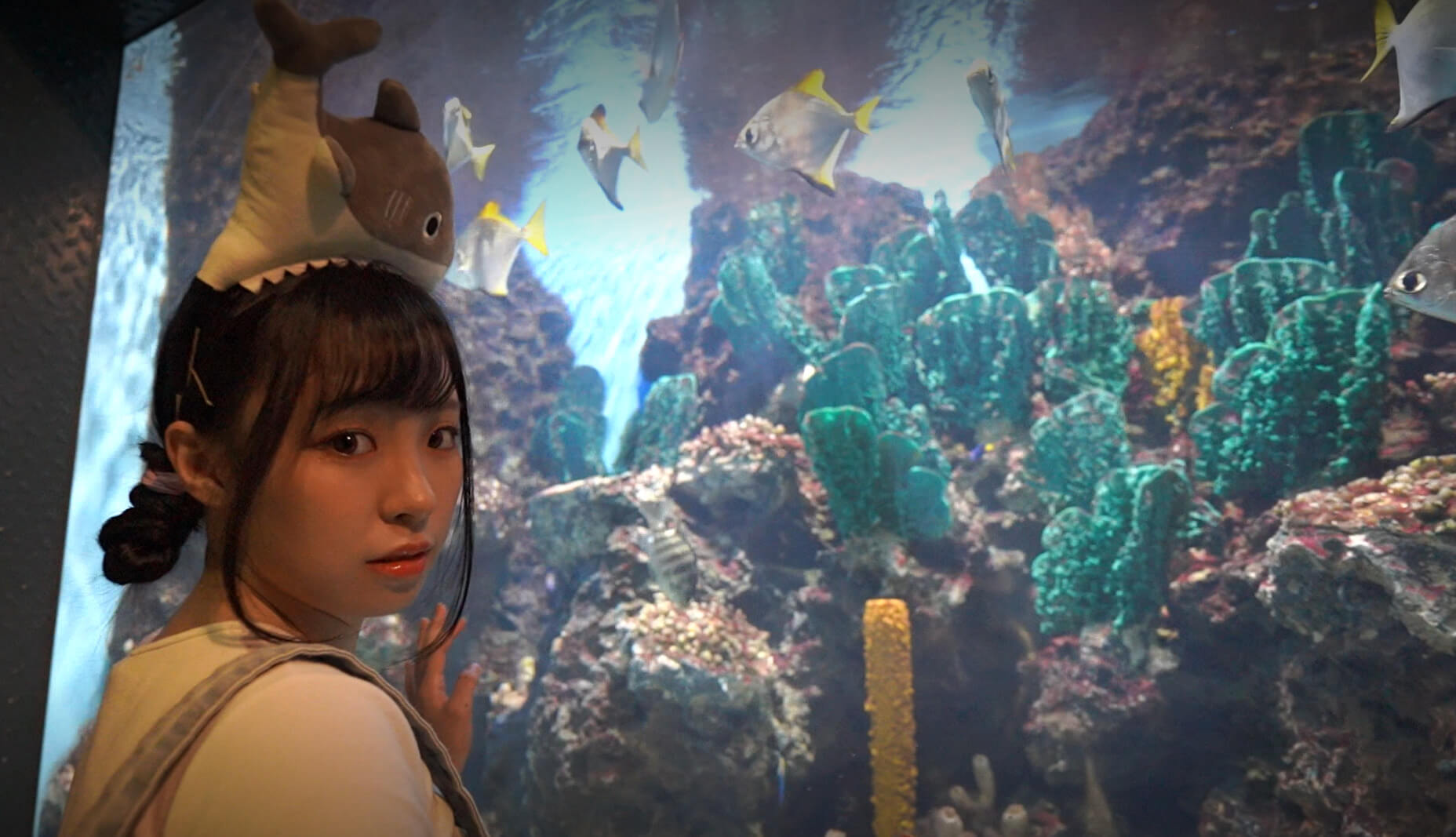 花蓮三日遊｜探險島水族館