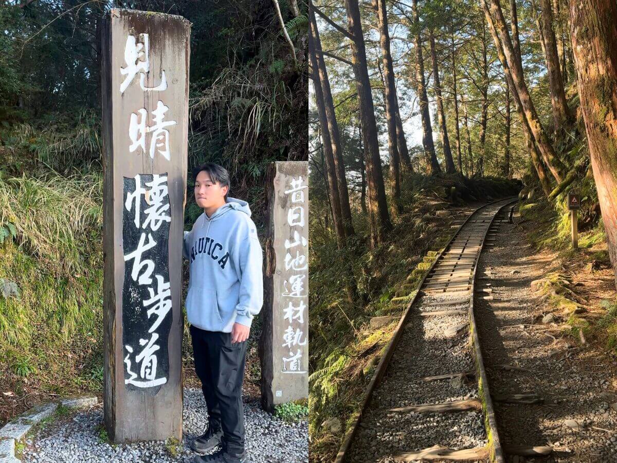 宜蘭景點|CNN認證全球最美步道之一!宜蘭見晴懷古步道,走進宮崎駿動畫世界的夢幻森林