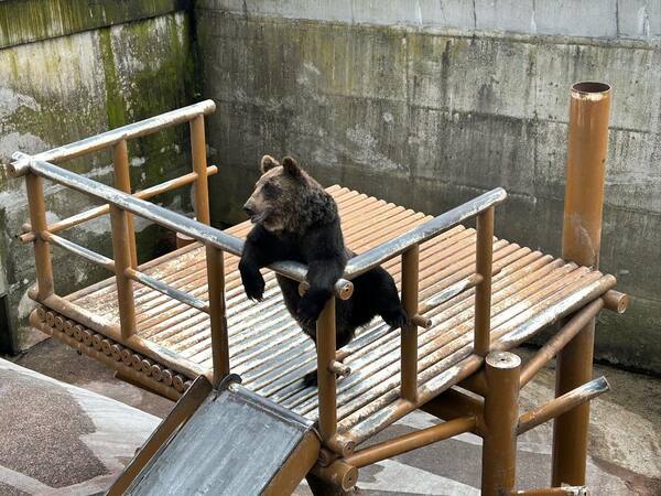 【北海道自由行】北海道自由行推薦，精選北海道旅遊攻略！