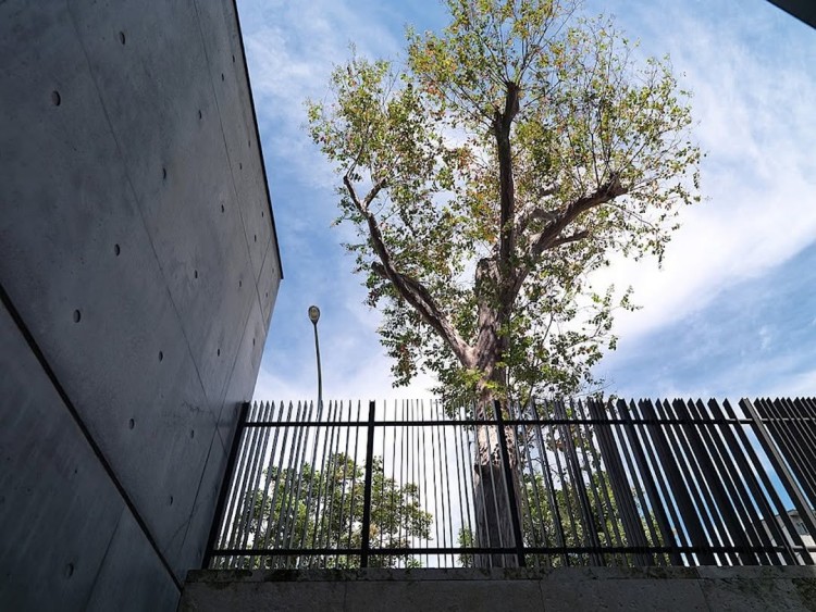 美術館不僅是展覽與圖書館空間，亦融合了辦公室、夥伴食堂、茶席與多媒體分享空間等多元功能。
