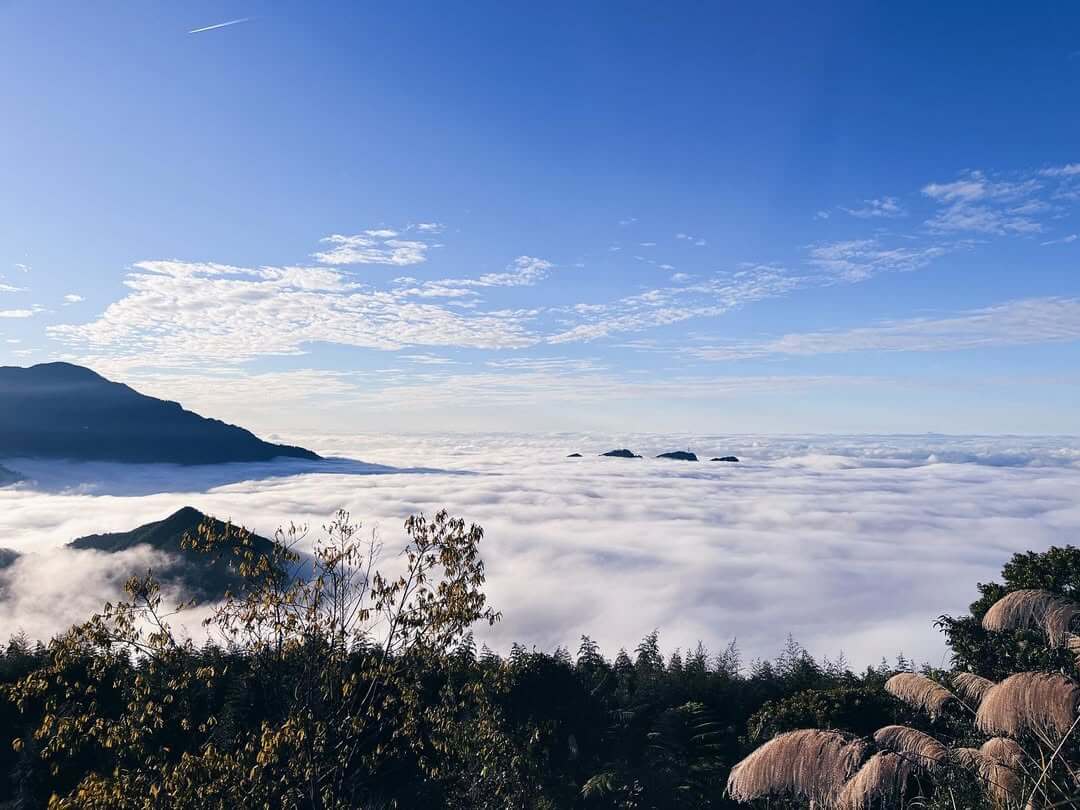 全台露營｜全台雲海露營地推薦TOP6，最熱門的露營區、最美麗的飄浮雲海，大自然的驚喜等你開啟。