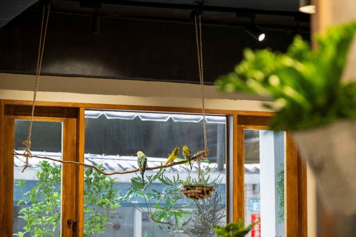 亞菁設計；寵物共融；嗎哪咖啡