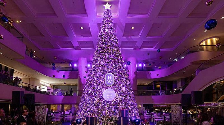 全台北飯店最大聖誕樹就在晶華酒店！大廳內的主樹攜手「鑽石之王」Harry Winston，以典雅紅金與松木綠為視覺主軸，打造低調奢華的聖誕氛圍。