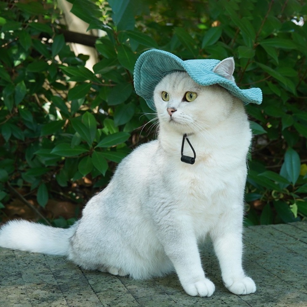 時尚毛小孩必備 O'Pretty 歐沛媞 Petsall 遮陽露耳漁夫帽-多款可選-綠/黃/粉-S/M 贈毛孩時尚造型眼鏡