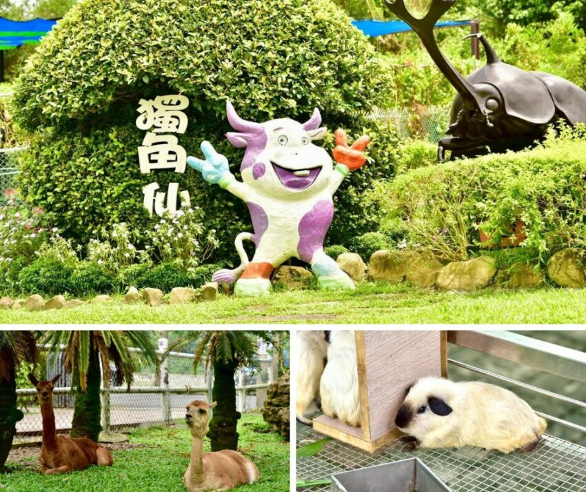 嘉義親子景點 2026嘉義親子景點｜超適合遛小孩的玩樂好去處，故宮南院溜滑梯、咩咩上樹療癒動物、三隻小豬觀光農場 3 2026