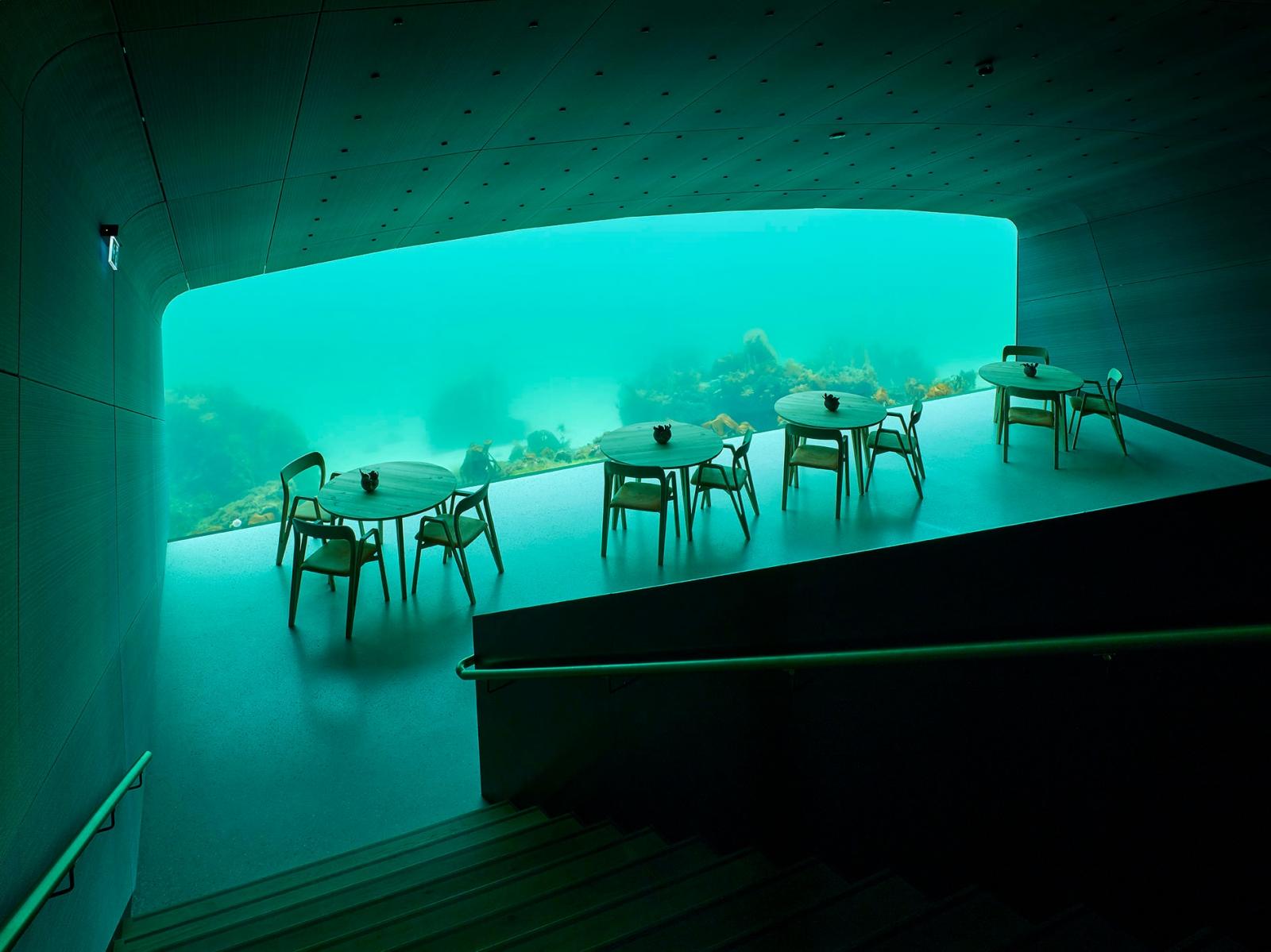 走進 Under，用餐體驗早在入口便已展開。室內空間循著緩慢下沉的動線設計，從溫潤的木質與柔光開始，逐步過渡至深色調與低光源，彷彿象徵人類一步步離開熟悉世界，進入未知海域。最終抵達的用餐區，是整個體驗的核心：一面寬達11公尺的巨大觀景窗，毫無遮蔽地將北海真實的水下景象攤展在眼前。這裡沒有刻意安排的魚群，也不是人工餵養的表演，而是隨著潮汐、季節與時間流動的自然劇場。當海膽、比目魚或海藻在窗外緩緩游移，用餐者不再只是旁觀者，而是暫時成為海洋節奏的一部份。