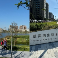 影｜桃園景點｜桃園最新特色公園！華興池生態埤塘公園攻略，還有新開幕咖啡廳！