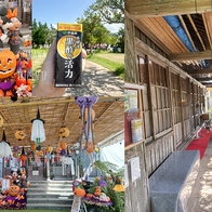 沖繩景點推薦【沖宮神社】萬聖節風的布置也太可愛,還有咖啡廳 - ONLYYUSUKE*吃喝玩樂都最高