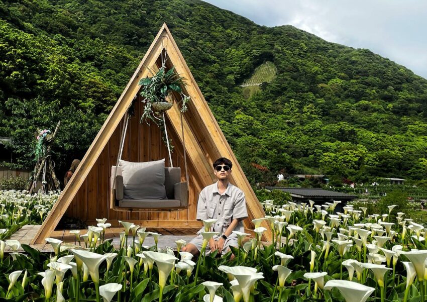 陽明山海芋 陽明山海芋季景點5選！竹子湖海芋花況時間、交通管制、停車地點一次看 3 2024