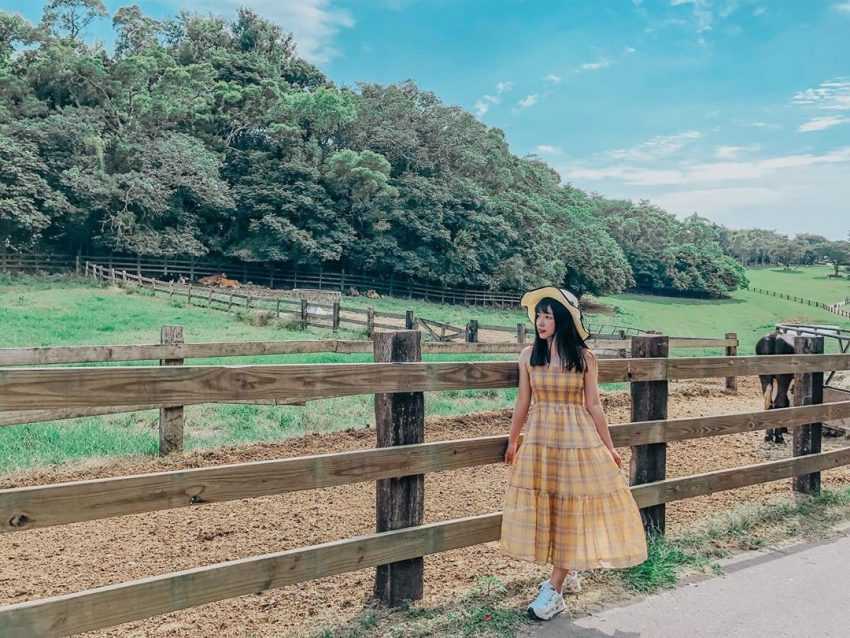 【飛牛牧場】苗栗通霄好玩的親子景點，門票優惠、園區介紹、住宿推薦懶人包
