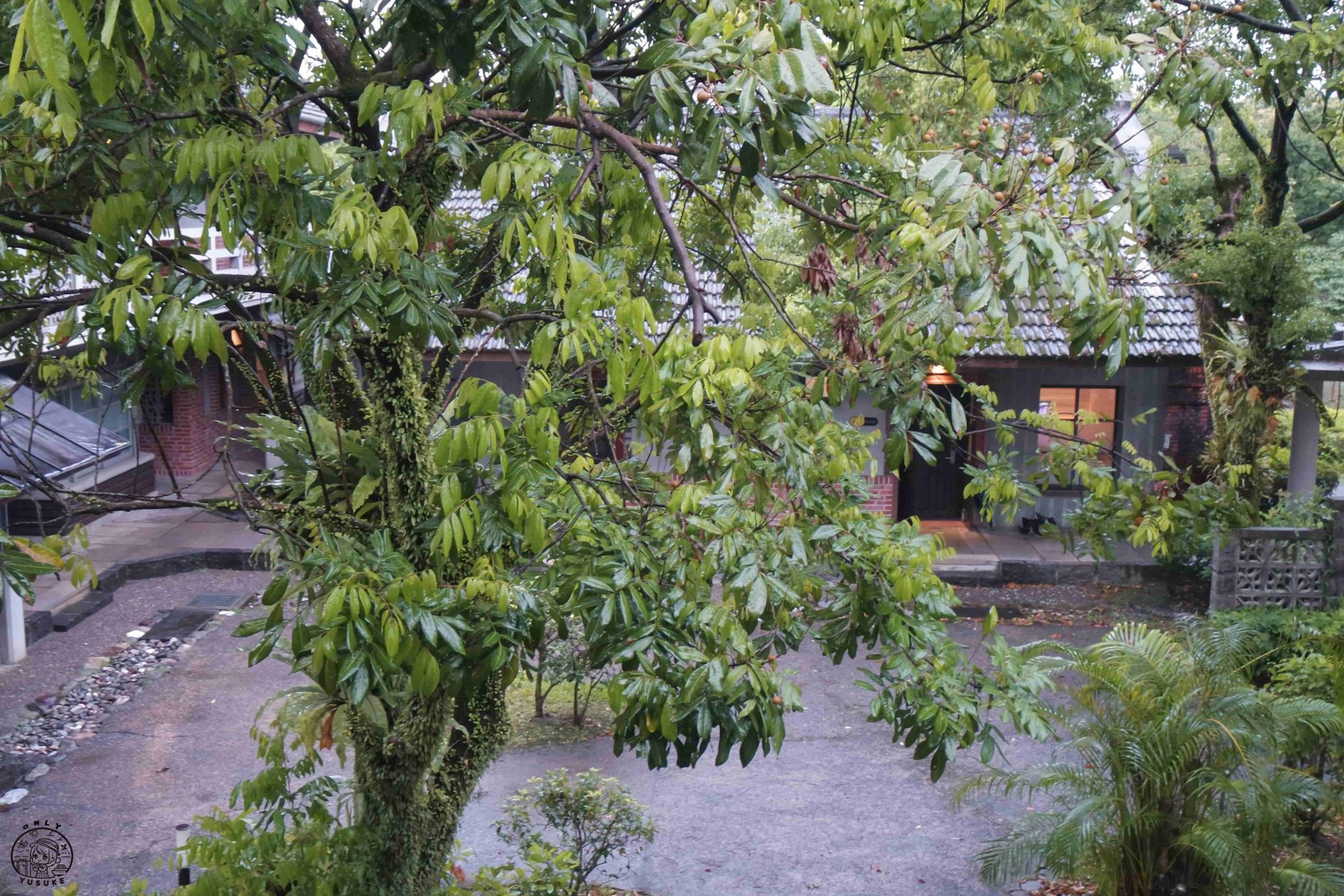 煙波花時間介紹
