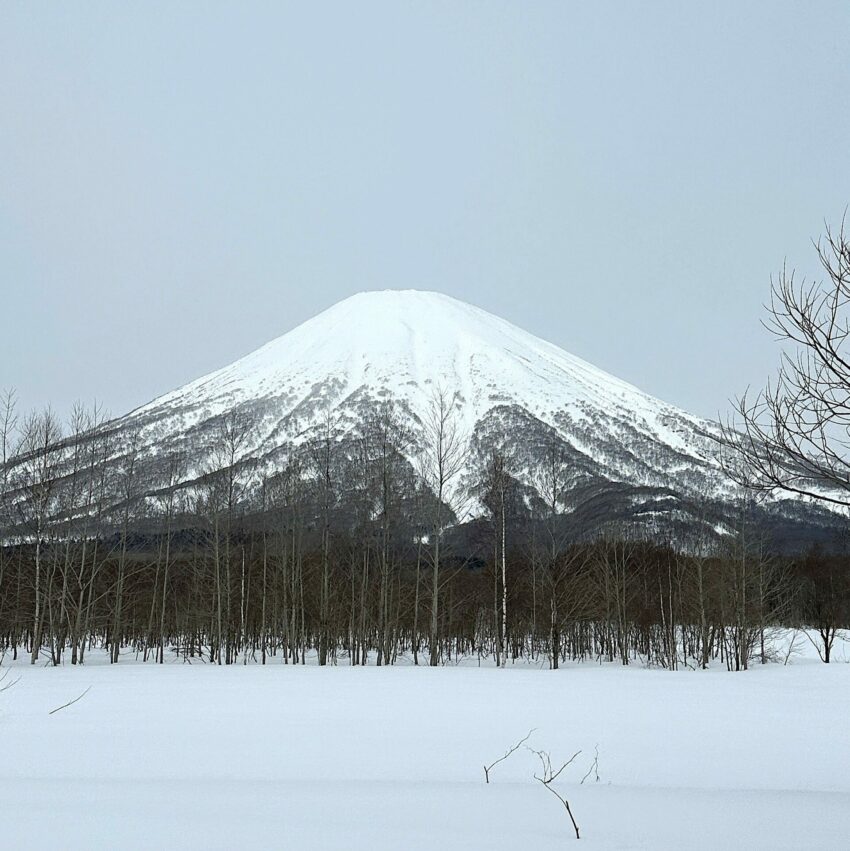 【北海道自由行】最完整北海道旅遊攻略，札幌/小樽/函館/旭川自由行推薦