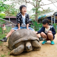 沖繩親子旅遊必去！來「NEOPARK OKINAWA」與療癒動物親密接觸！ | Japaholic