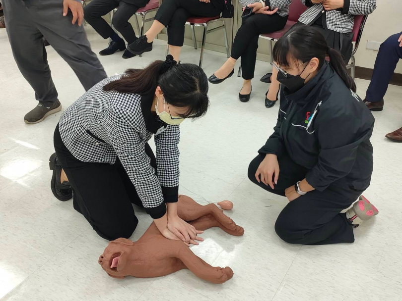 （圖／品牌提供）