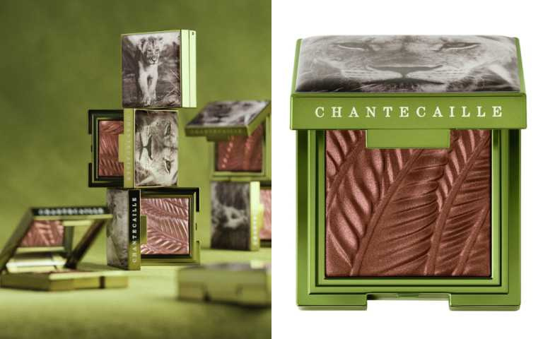 Chantecaille香緹卡 獅影守護限量眼彩／2,300元（圖／品牌提供）