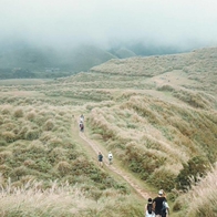 【秋季賞花】秋天必做的旅遊活動：全台十大賞芒賞楓景點推薦 秋冬必追火紅X白雪美景地圖！ - ReadyGo