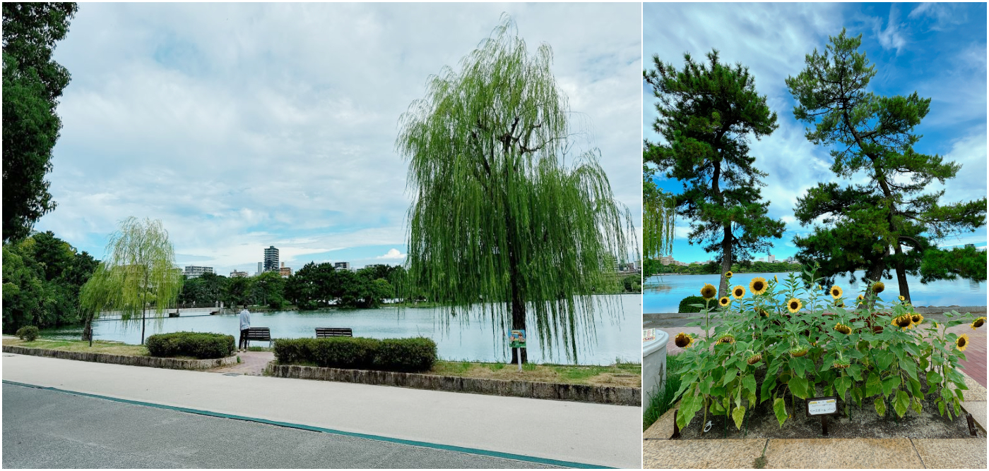 大濠公園_池景