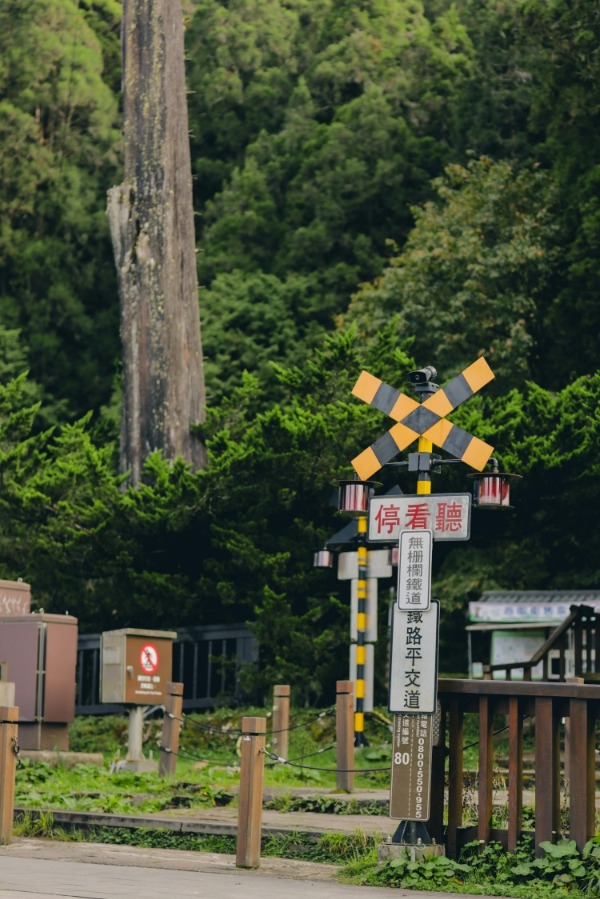 其實嘉義有「兩座森林」