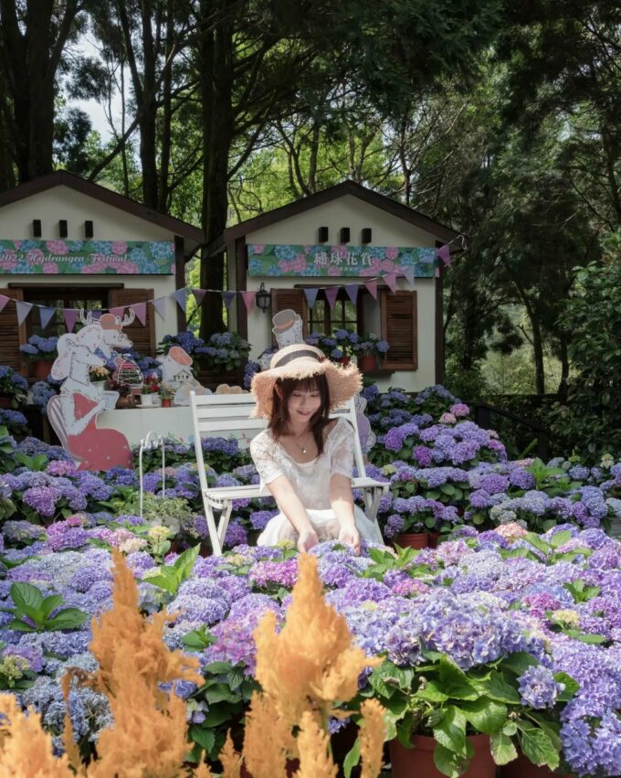 【薰衣草森林】四季都有浪漫花景！最新花況、螢火蟲季、門票、交通懶人包