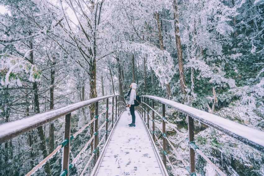 國家森林遊樂區,太平山國家森林遊樂區,國家公園,雪霸休閒農場, 森林遊樂區, 國家森林遊樂區, 森林好好玩, 明池國家森林遊樂區, 向陽森林遊樂區, 太魯閣遊客中心, 國家公園申請, 向陽國家森林遊樂區, 雙流瀑布, 溪頭國家森林遊樂區, 太平山門票買一送一, 雪霸休閒農場適合去的月份, 國家公園法, 藤枝國家公園, 太魯閣國家公園管理處, 雪見遊客中心, 雪山國家公園, 雪見國家公園, 雪霸休閒農場穿著, 明池森林遊樂區門票, 新威遊客中心, 玉山管理處, 雪見步道, 馬告國家公園, 16湖國家公園, 雙流瀑布步道, 國家森林公園, 森林遊樂區住宿, 磺嘴山申請, 藤枝預約查詢, 向陽森林遊樂區開放, 雪見森林遊樂區, 雪霸休閒, 明池國家森林遊樂區門票, 藤枝接駁車, 林務局森林遊樂區, 向陽國家森林遊樂區門票, 觀霧山椒魚生態中心, 藤枝國家公園預約, 雪見遊憩區步道, 塔塔加步道難度, 向陽遊樂區, 中部森林遊樂區, 高山型國家公園, 克魯格國家公園, 雪霸休閒農場步道, 雪見遊憩區入山證, 藤枝森林公園, 向陽國家公園, 南橫向陽森林遊樂區, 國家森林遊樂區訂房, 雪霸休閒農場交通, 溪頭國家公園, 太魯閣國家公園遊客中心, 合歡山國家公園, 向陽森林遊樂區住宿, 雪山國家公園申請, 國家公園寵物, 藤枝接駁, 合歡山空拍申請, 太魯閣管理處, 藤枝國家森林公園, 北部森林遊樂區, 森林好好玩買一送一, 向陽國家森林遊樂區官網, 森林國家公園, 雪霸國家公園管理處汶水遊客中心, 美西國家公園, 棲蘭國家森林遊樂區, 太魯閣台地步道, 滿月圓森林遊樂區遊客中心, 國家公園地圖, 森林遊樂, 雪霸國家公園武陵遊客中心, 墾丁國家森林遊樂區遊客中心, 八仙山莊海拔, 汶水公園, 棲蘭國家森林遊樂區售票處, 明池國家森林遊樂區明池神木, 國家公園志工招募2023, 大雪山國家森林遊樂區林業陳列館,