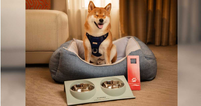 房內貼心備有毛孩專屬餐碗與柔軟睡墊，打造舒適入住體驗。（圖／台北君悅酒店提供）