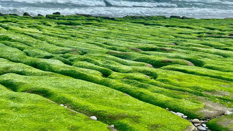 （圖／北觀處提供）