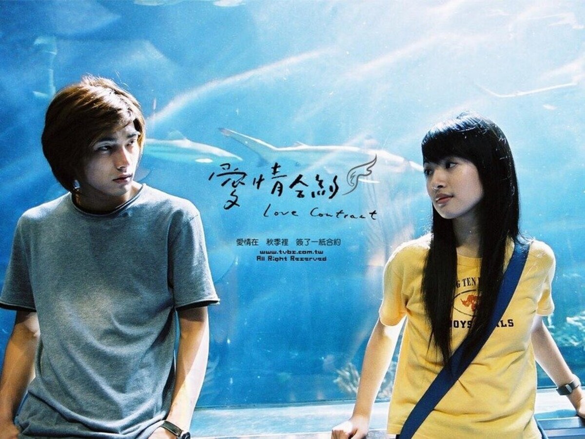 林依晨主演作品豆瓣評分TOP10！《蘭陵王》7.1，《不夠善良的我們》8.4，冠軍高達9.0！