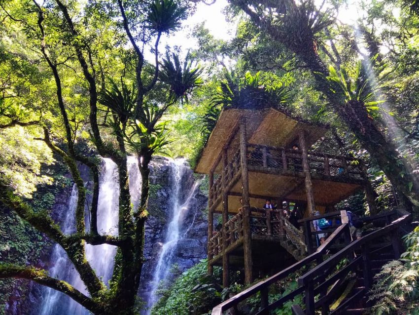 國家森林遊樂區,滿月圓國家森林遊樂區,國家公園,雪霸休閒農場, 森林遊樂區, 國家森林遊樂區, 森林好好玩, 明池國家森林遊樂區, 向陽森林遊樂區, 太魯閣遊客中心, 國家公園申請, 向陽國家森林遊樂區, 雙流瀑布, 溪頭國家森林遊樂區, 太平山門票買一送一, 雪霸休閒農場適合去的月份, 國家公園法, 藤枝國家公園, 太魯閣國家公園管理處, 雪見遊客中心, 雪山國家公園, 雪見國家公園, 雪霸休閒農場穿著, 明池森林遊樂區門票, 新威遊客中心, 玉山管理處, 雪見步道, 馬告國家公園, 16湖國家公園, 雙流瀑布步道, 國家森林公園, 森林遊樂區住宿, 磺嘴山申請, 藤枝預約查詢, 向陽森林遊樂區開放, 雪見森林遊樂區, 雪霸休閒, 明池國家森林遊樂區門票, 藤枝接駁車, 林務局森林遊樂區, 向陽國家森林遊樂區門票, 觀霧山椒魚生態中心, 藤枝國家公園預約, 雪見遊憩區步道, 塔塔加步道難度, 向陽遊樂區, 中部森林遊樂區, 高山型國家公園, 克魯格國家公園, 雪霸休閒農場步道, 雪見遊憩區入山證, 藤枝森林公園, 向陽國家公園, 南橫向陽森林遊樂區, 國家森林遊樂區訂房, 雪霸休閒農場交通, 溪頭國家公園, 太魯閣國家公園遊客中心, 合歡山國家公園, 向陽森林遊樂區住宿, 雪山國家公園申請, 國家公園寵物, 藤枝接駁, 合歡山空拍申請, 太魯閣管理處, 藤枝國家森林公園, 北部森林遊樂區, 森林好好玩買一送一, 向陽國家森林遊樂區官網, 森林國家公園, 雪霸國家公園管理處汶水遊客中心, 美西國家公園, 棲蘭國家森林遊樂區, 太魯閣台地步道, 滿月圓森林遊樂區遊客中心, 國家公園地圖, 森林遊樂, 雪霸國家公園武陵遊客中心, 墾丁國家森林遊樂區遊客中心, 八仙山莊海拔, 汶水公園, 棲蘭國家森林遊樂區售票處, 明池國家森林遊樂區明池神木, 國家公園志工招募2023, 大雪山國家森林遊樂區林業陳列館,