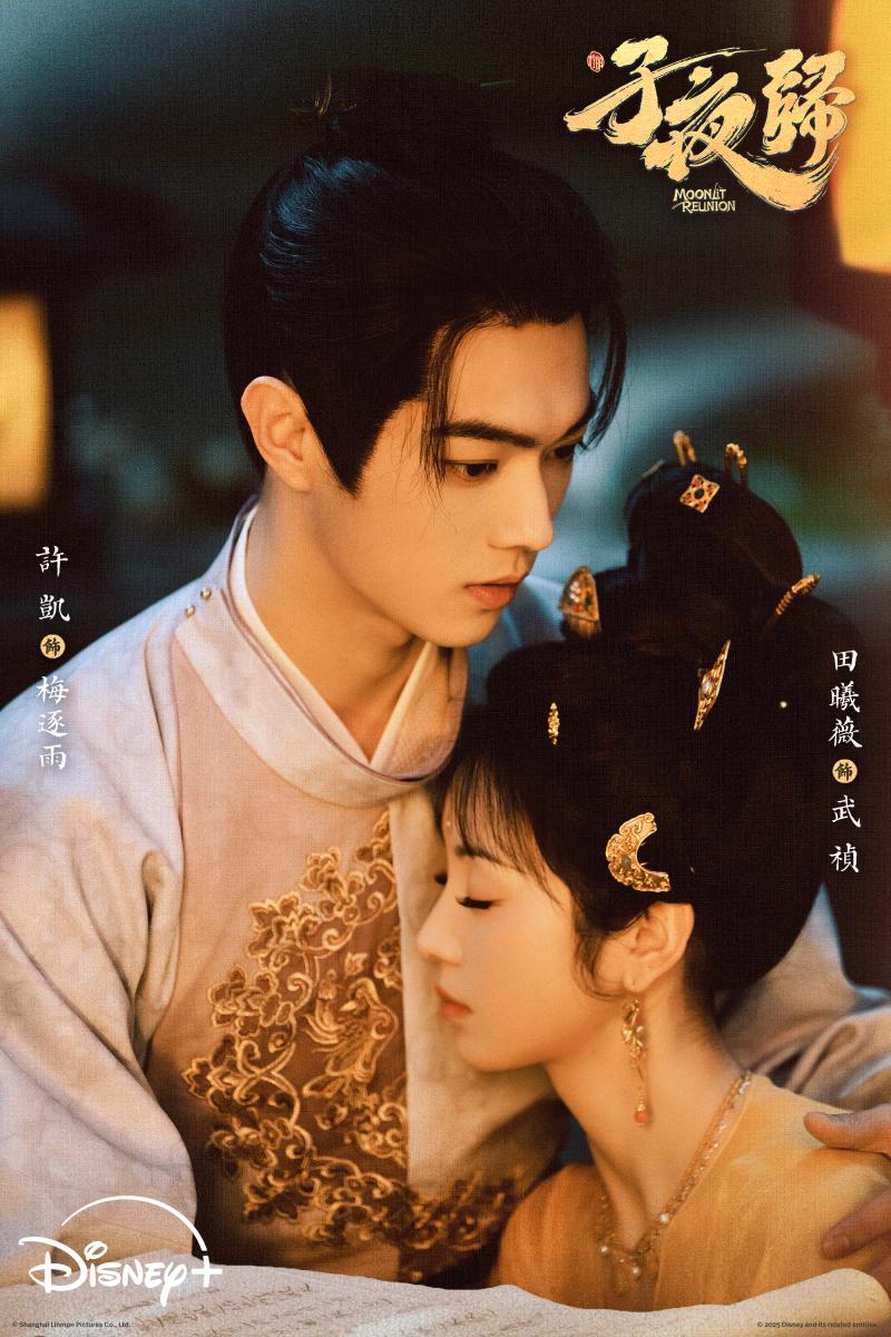 《子夜歸》改編自扶華撰寫的熱門網路小說《梅夫人寵夫日常》