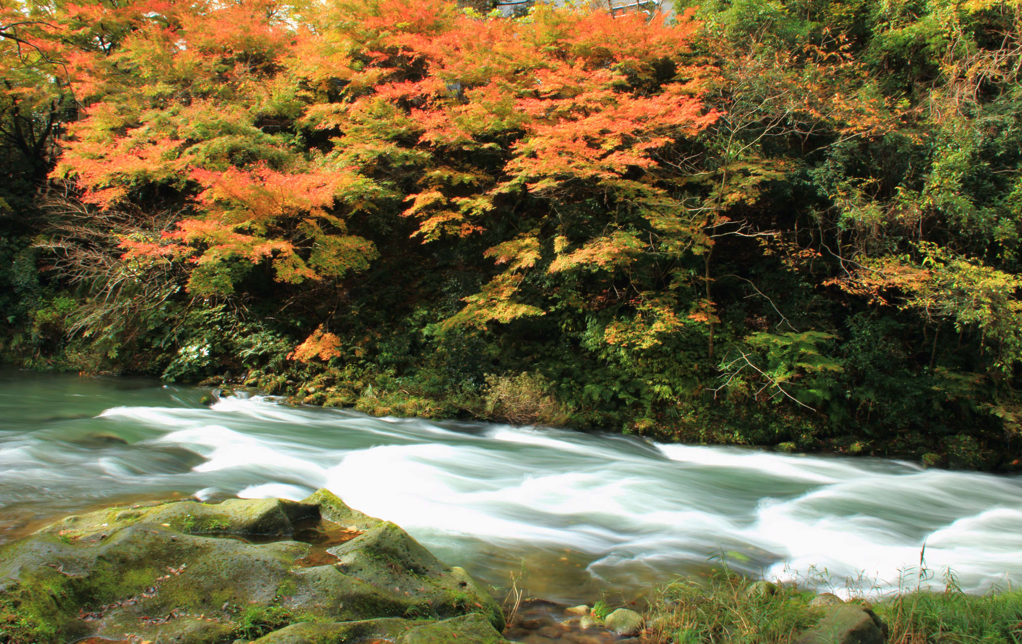 加賀溫泉鄉| Travel Japan - 日本觀光局（官方網站）