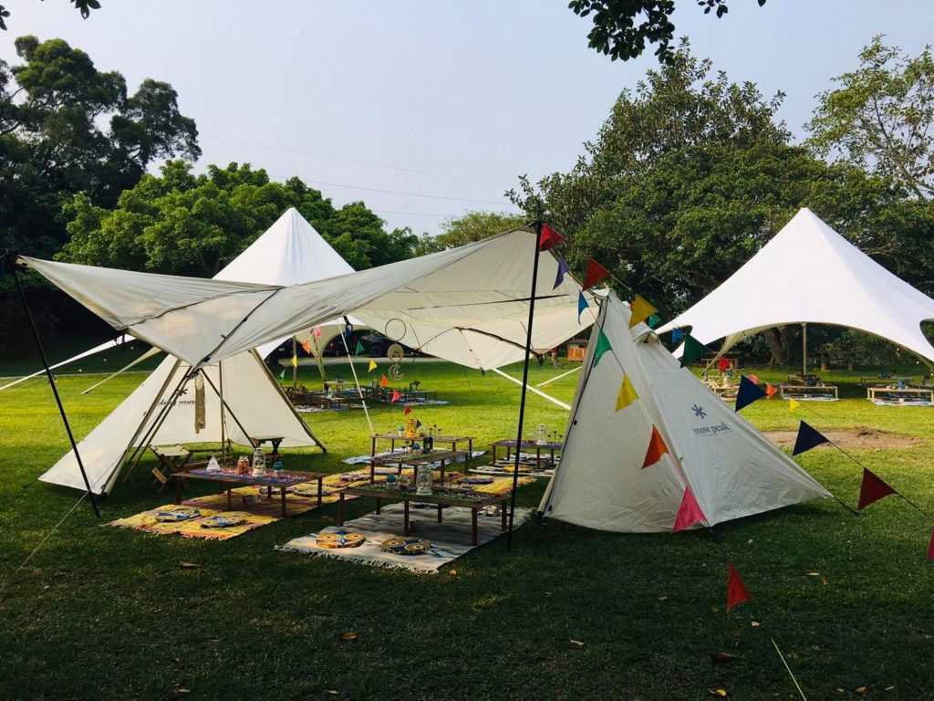 【飛牛牧場】苗栗通霄好玩的親子景點，門票優惠、園區介紹、住宿推薦懶人包