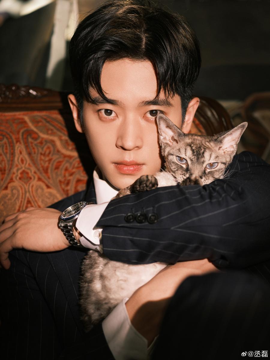丞磊是貓奴
