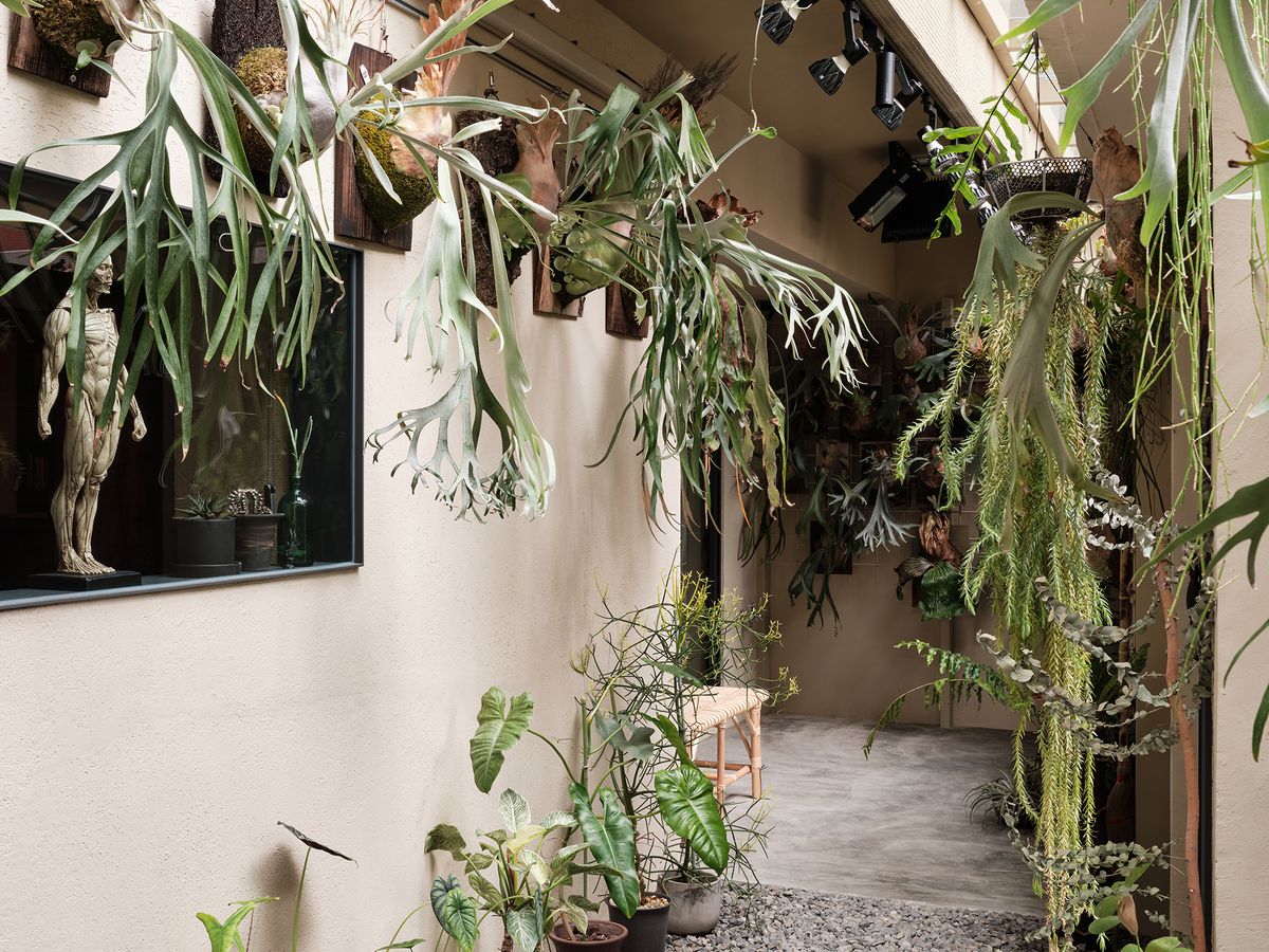 樸山里自然空間實驗室；德國設計獎；iF Design Awards；獲獎作品；老屋翻新；建築；室內設計