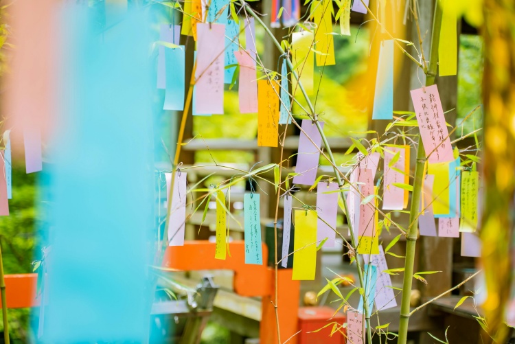 七夕在日本稱為「たなばた」（發音：Tanabata），多於國曆7月7日慶祝。當地人會將願望寫在彩色紙籤上，懸掛於竹枝之上，象徵將祈願傳達給星星。