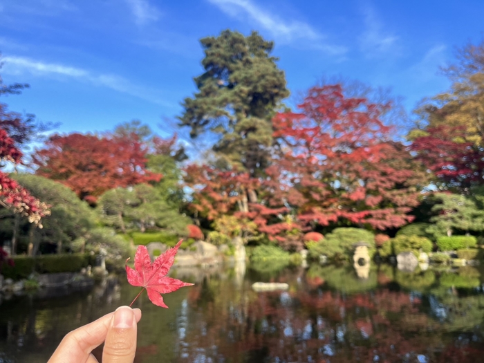 山形 紅葉公園