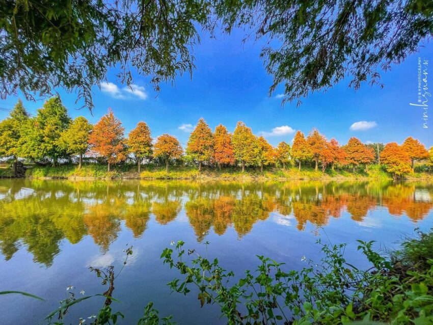 嘉義景點推薦｜40個嘉義新景點＆嘉義一日遊路線！跟著嘉義景點地圖一起玩