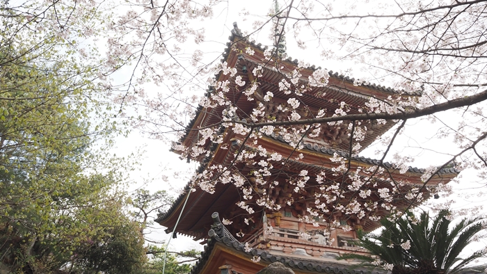 生口島 向上寺