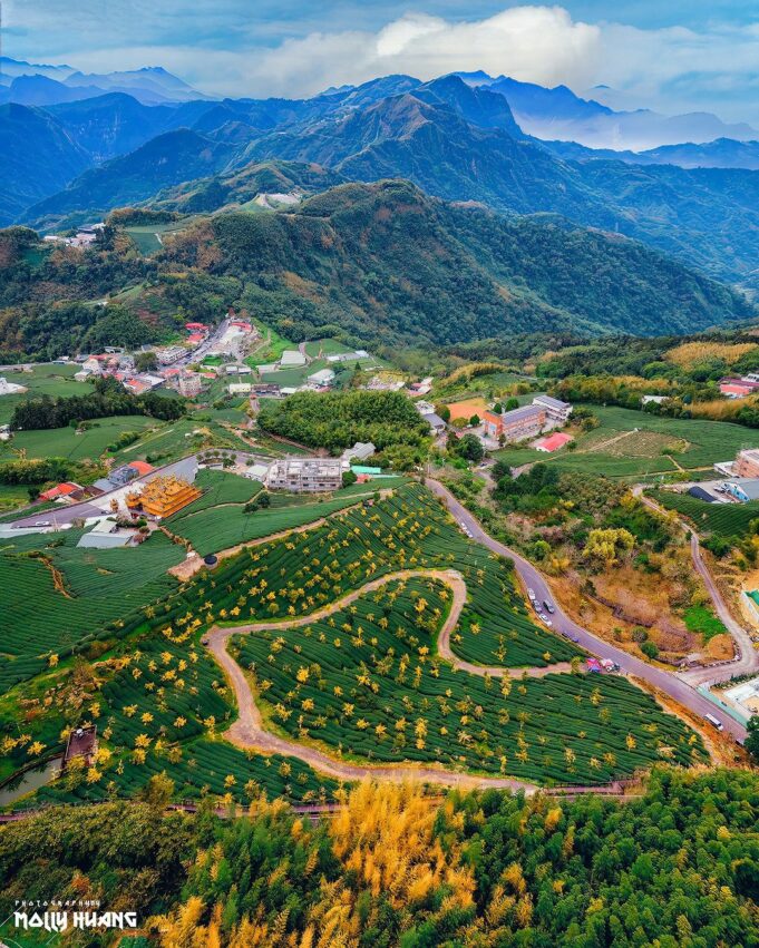 阿里山景點報你知！嘉義阿里山2天1夜行程規劃、住宿門票優惠攻略，教你阿里山開車怎麼玩！