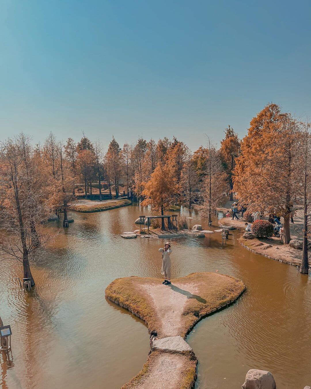 全台落羽松景點懶人包｜秋冬不可錯過的六大落羽松秘景，彷彿是一幅大自然的畫作