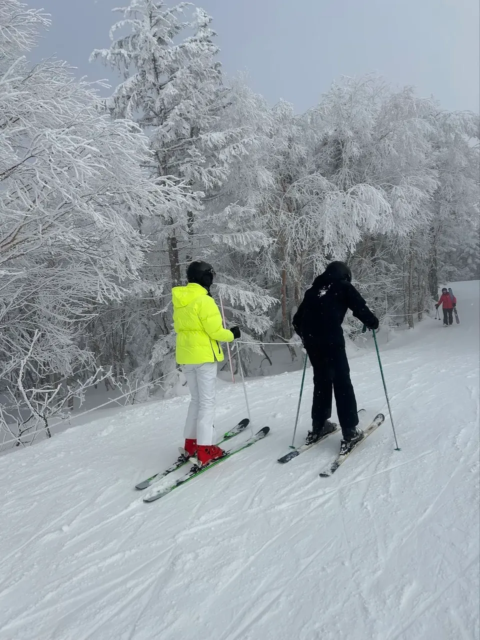 北海道｜二世古安努普利 中文滑雪教練 3/6 小時 標準1~2人-4