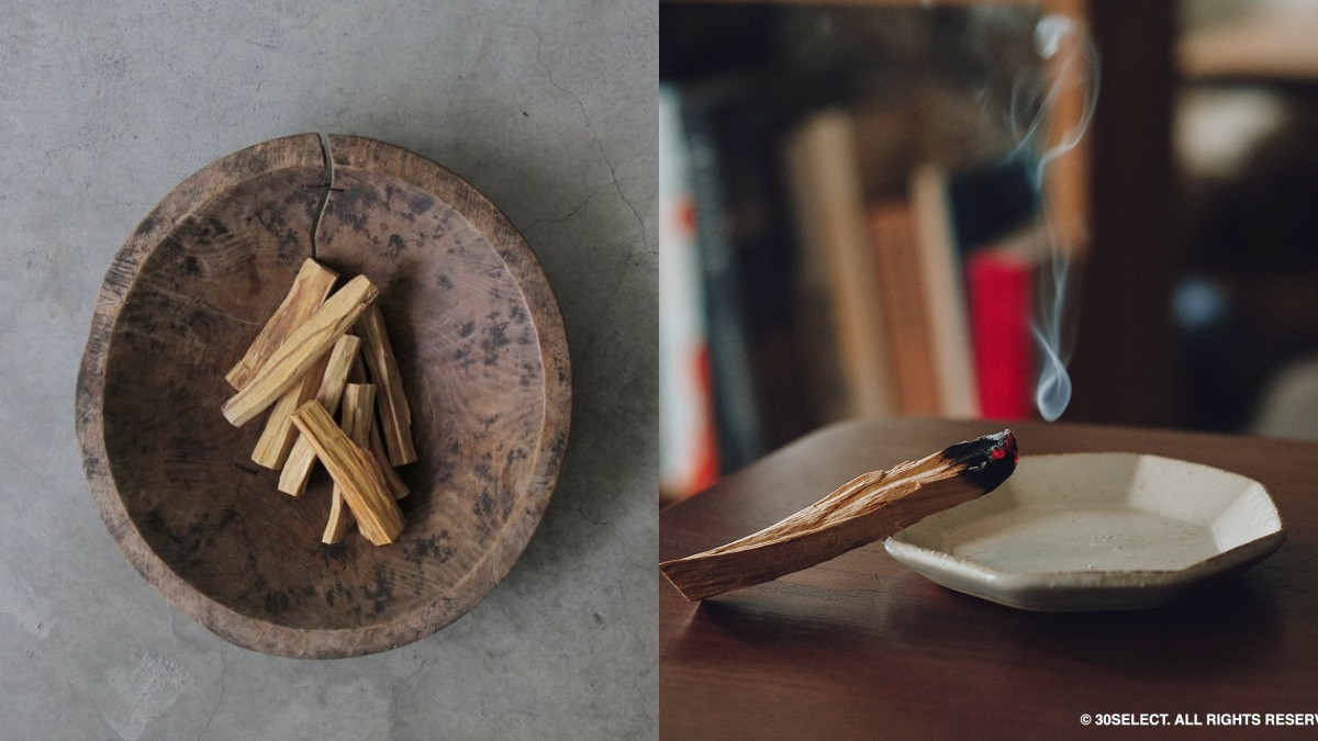 2022名人圈最紅聖誕禮！「秘魯聖木、鼠尾草」10大特點必看，功效與好處一次解惑！