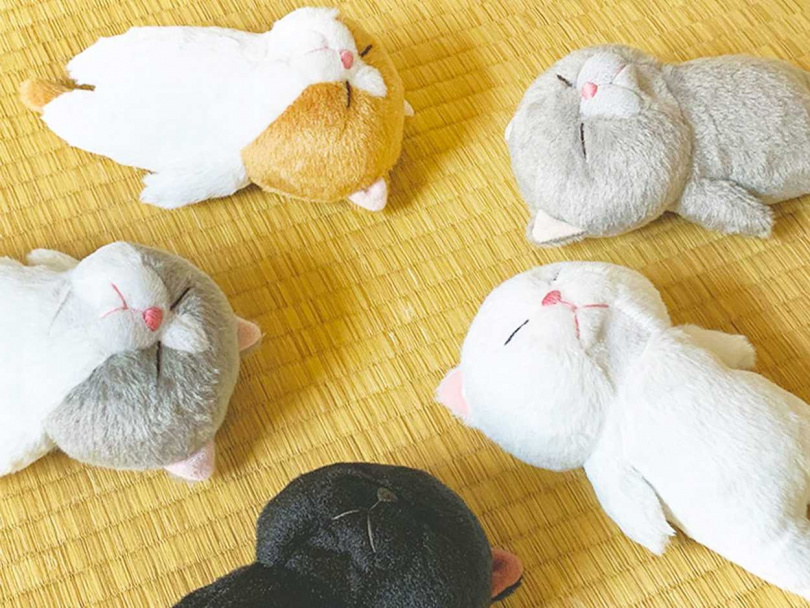 （圖／業者提供）